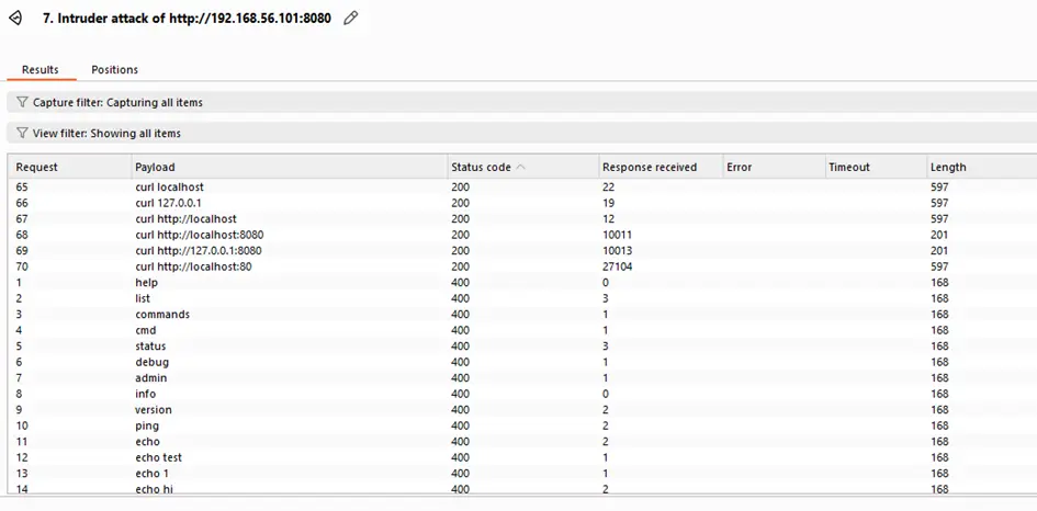 Fuzzing con Burp